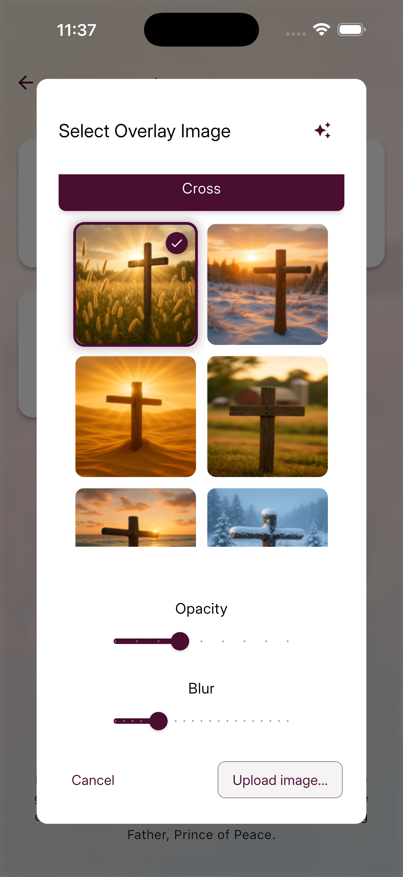 App menu showing background customization